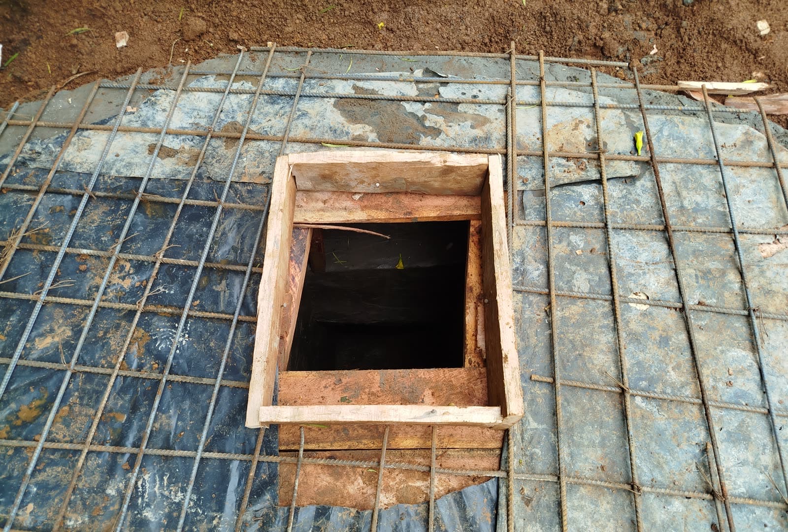 How Biogas Works: From Organic Waste to Clean Energy