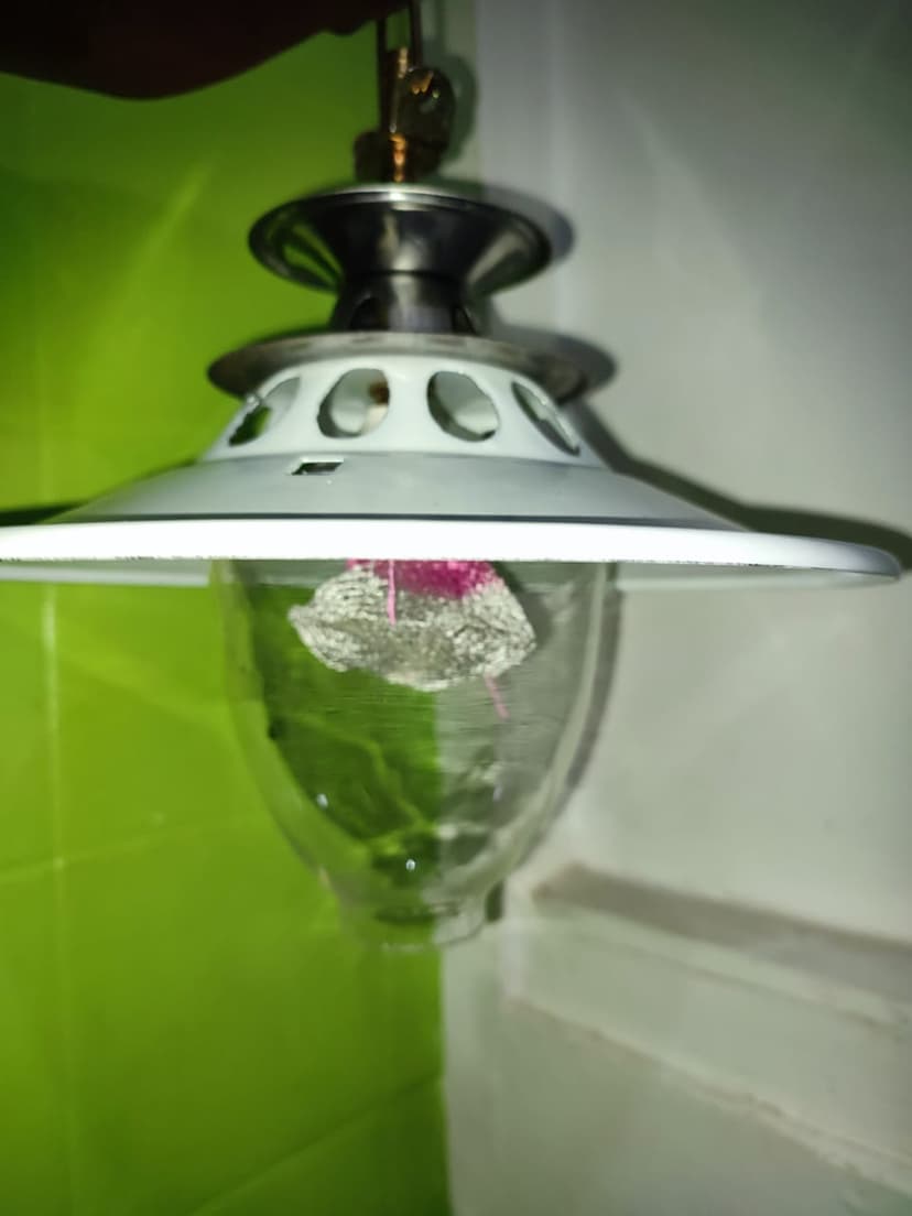 Biogas Hanging Lamp with Mantle Globe