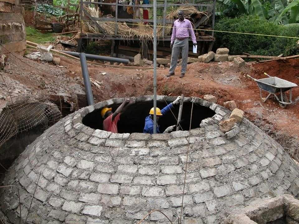 Misty forest background